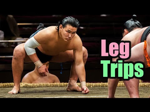 Hōshōryū Leg Trips (Sumo Highlight)
