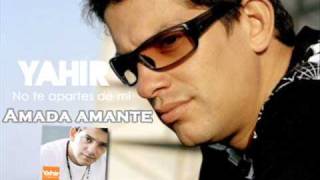 Amada, amante Lyrics English Translation