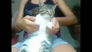 preview picture of video 'Aii se eu te pego com a gata Xsnyssy'