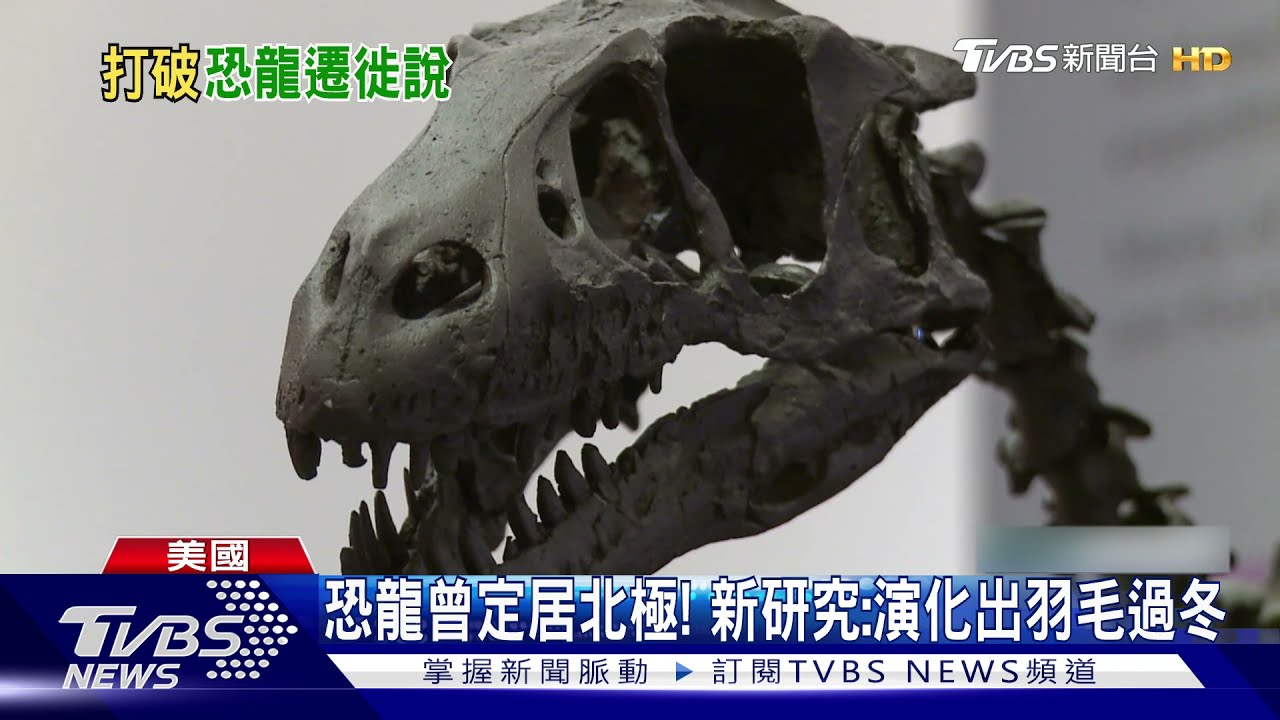 北極有恐龍!角龍、暴龍曾定居北極 演化出羽毛保暖