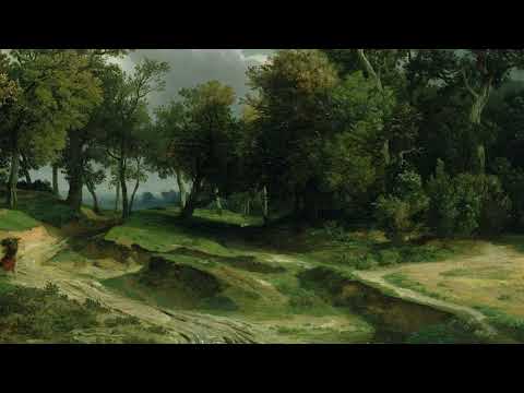 POV: You’re Walking Through an Endless Meadow ~ Vaughan Williams’ ‘The Lark Ascending’ (1-Hour Loop)