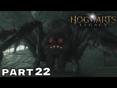 HOGWARTS LEGACY PS5 Walkthrough Gameplay Part 22 - (FULL GAME)