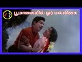 Poo Malayil Or Malligai பூ மாலையில் MSV TMS P SUSHEELA