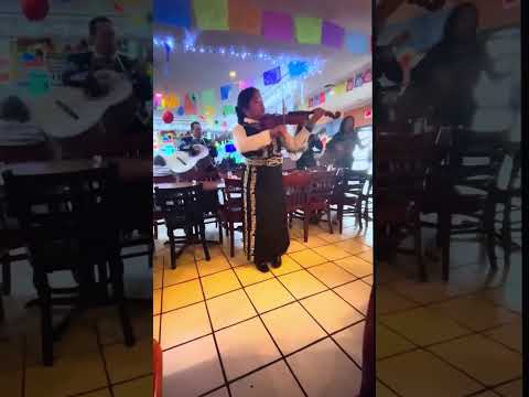 Promotional video thumbnail 1 for Mariachi Huasteca