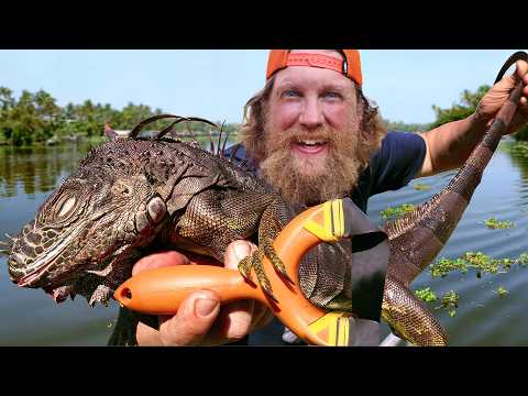 Invasive Species Iguana Slingshot Catch & Cook | Florida Keys Episode 4