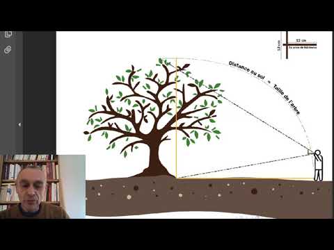 A quoi sert le théorème de Thalès