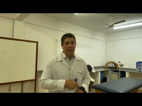 Dicas de prova (habilidades 1)