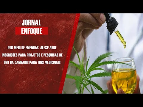 Deputado estadual Caio França (PSB) fala sobre programa para o uso da cannabis