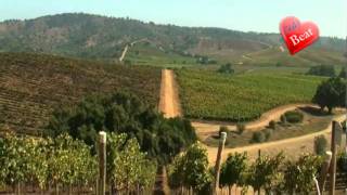 preview picture of video 'Casablanca Valley Wine Region'