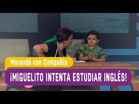 Miguelito tries to study English! - Morandé con Compañía