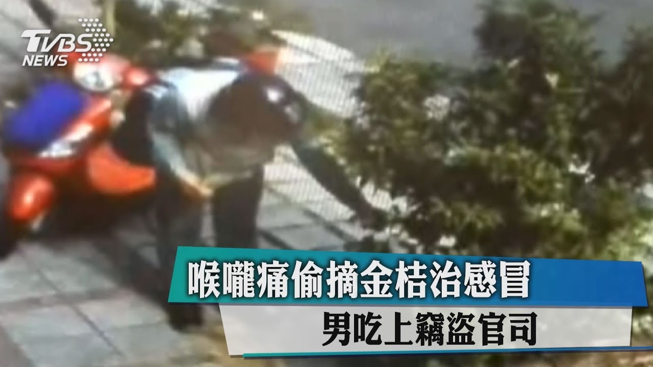 喉嚨痛摘路邊金桔治感冒 男吃上竊盜官司