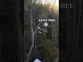 He Kicked Off A Tree To Save Himself