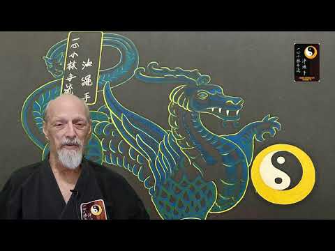 My Karate Life, Part 1 – Shihan Rod Lindgren