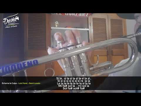 Échame la Culpa | Luis Fonsi, Demi Lovato |Trompeta | 2018 | #DavidEcheverri
