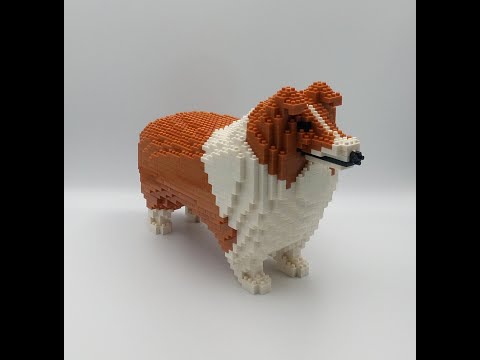 Puppy Sheltie Shetland Sheepdog Building Block Time Lapse