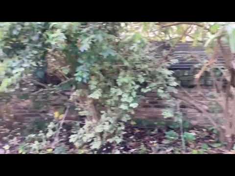 Lot 76 - The Limes, 61 Windsor Road, Forest Gate, E7 0QY