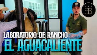 Chuy Lizárraga - El Vlog - Rancho El Aguacaliente -Conociendo el Laboratorio