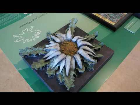 Grünes Band und Biosphärenreservat Rhön