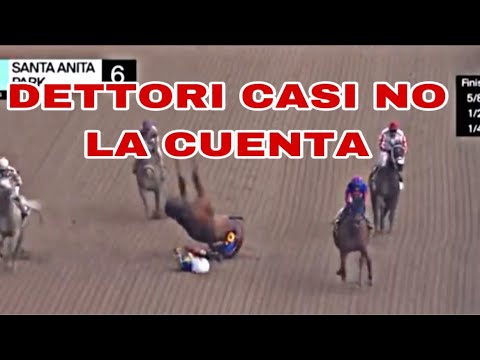 , title : 'DETTORI EL FINAL DE SU CARRERA #ultimahora  #hipismo #caballos  #horseracing'
