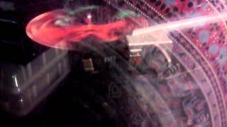 The Black Seeds Loose Cartilage