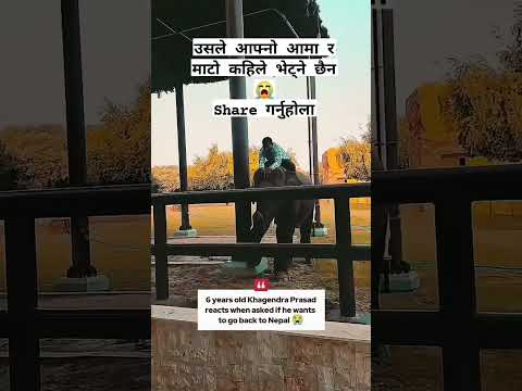 #khagendra #viral #punturi #animals #wildanimals #wildlife #ytshorts #youtubeshorts #shorts #reels