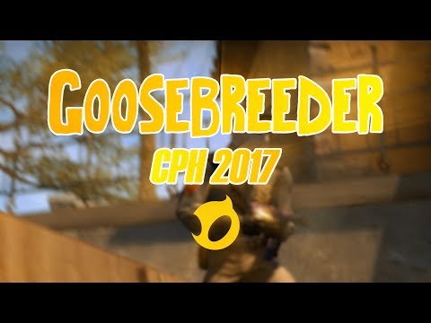 Dignitas Fe GooseBreeder CPH Games 2017