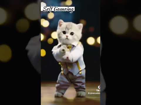 #dance #viralshorts #catdance #song #youtubeshorts #treanding song