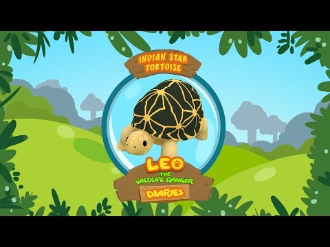 Witness21  2018 08 23