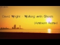 David Wright - Walking with Ghosts (Ambient Remix)
