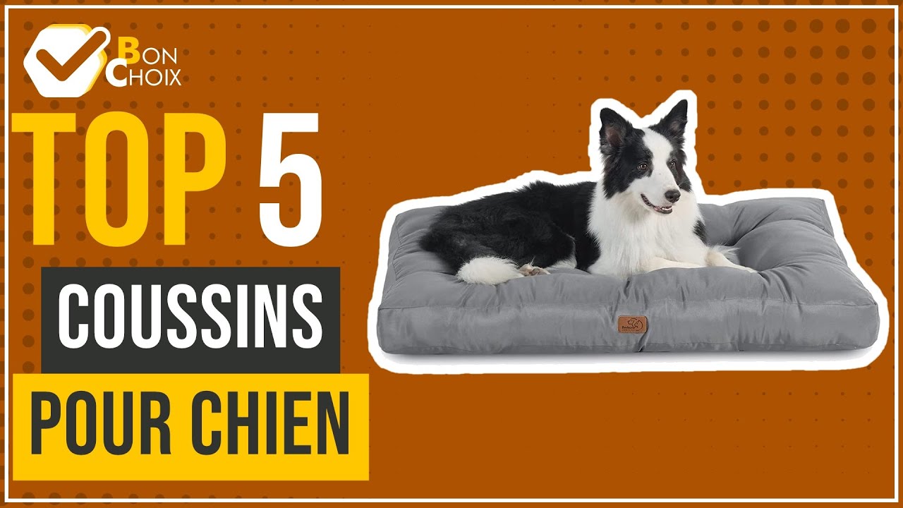 Coussins pour chien - Top 5 - (BonChoix)