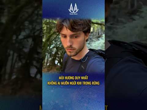Mùi hương không ai muốn ngửi khi trong rừng