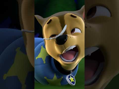 Marshall beats Chase to the Tower...for once! #PAWPatrol #Shorts
