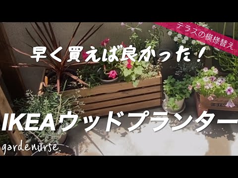 屋根付きのテラスまたはバルコニーのバスケット用に吊り下げられた多年生の顕花植物 5 つ  庭園