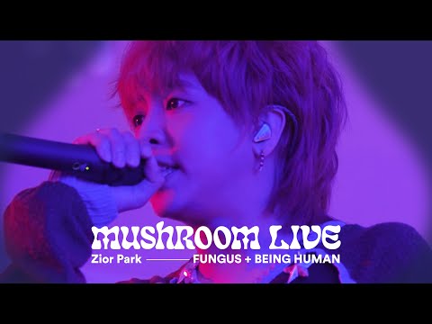 MUSHROOM LIVE S01 Zior Park - FUNGUS + BEING HUMAN #MUSHROOMLIVE #ZiorPark