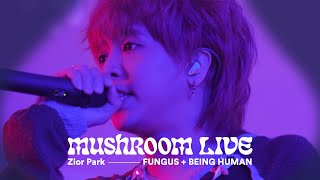 Musik-Video-Miniaturansicht zu BEING HUMAN Songtext von Zior Park