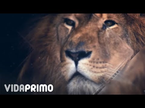 Tempo x Wisin - Pegate A La Pared [Lyric Video]
