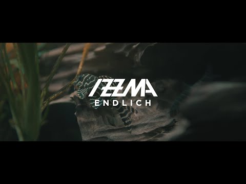 Izzma - Endlich (Prod. Izzma) (Official Video)