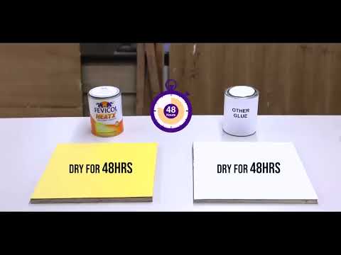 Fevicol Adhesive