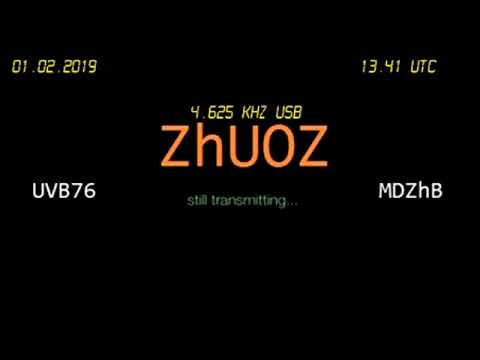 The Buzzer 01.02.2019