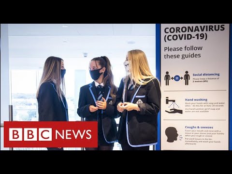 イングランドで何百万人もの学校の生徒をテストする計画は "未回答" - BBCニュース (Plan to test millions of school pupils in England is “undeliverable”  - BBC News)