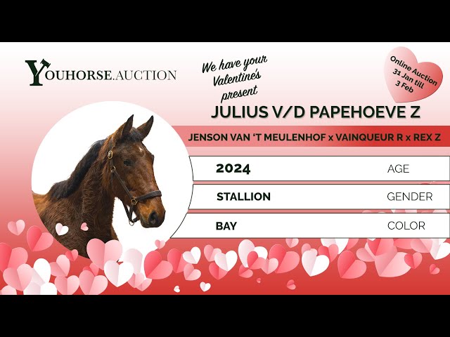 Julius vd Paepehoeve Z