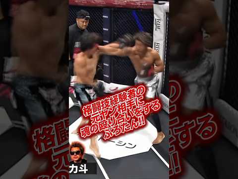 【ぷろたん】ぷろたんBREAKINGDOWNで魂の殴り合い #朝倉未来 #ぷろたん #breakingdown #ブレイキングダウン #rizin