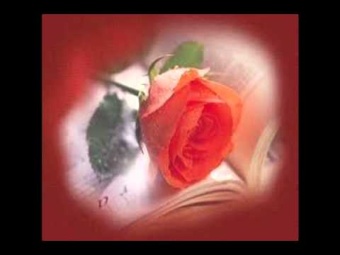 Los Gamma ( Me Decepcionaste ).