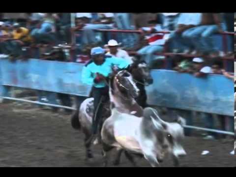 Homenaje al guason de r5l