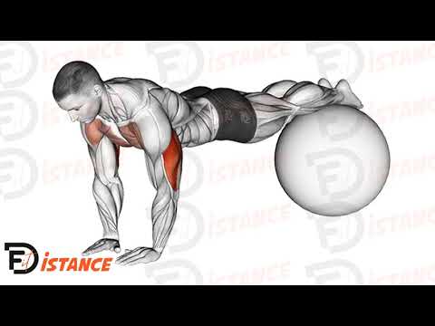 Exercice Pompes serrées inclinées sur ballon (Swiss Ball)