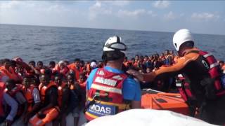 Maximo Park - Risk To Exist (MOAS version)