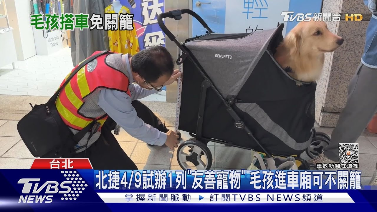 毛小孩爸媽看過來!北捷4/9試辦友善車廂 公車平日增班次