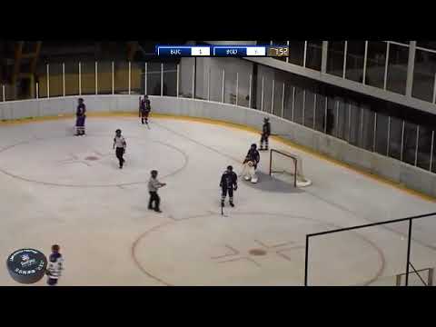 17.09.2017. HK Bucharest - HK Beograd - 3. period