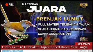 Download lagu 🔴 MASTERAN TERBAIK❗ TEMBAKAN SUPER PEDAS SUARA PRENJAK LUMUT GACOR DAN KOMBINASI SUARA GEMERICIK AIR mp3 Download lagu 🔴 MASTERAN TERBAIK❗ TEMBAKAN SUPER PEDAS SUARA PRENJAK LUMUT GACOR DAN KOMBINASI SUARA GEMERICIK AIR mp3