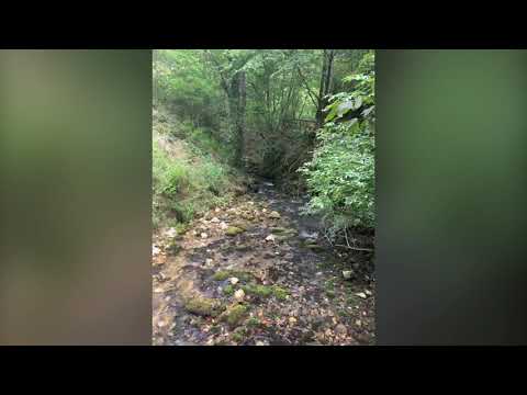 A la découverte: Judetul Caras-Severin, Roumanie